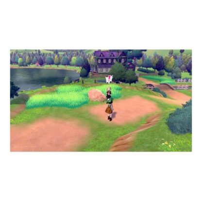 Βιντεοπαιχνίδι για Switch Pokémon Shield (FR)