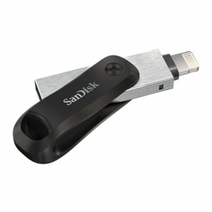 Στικάκι USB SanDisk SDIX60N-256G-GN6NE Μαύρο Ασημί 256 GB