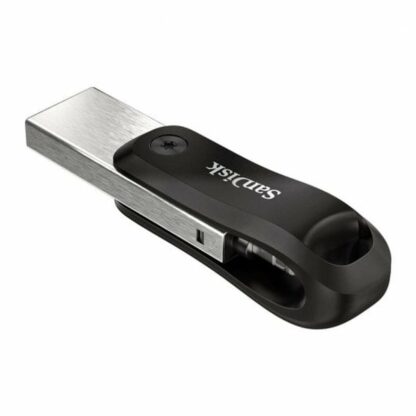 Στικάκι USB SanDisk SDIX60N-256G-GN6NE Μαύρο Ασημί 256 GB