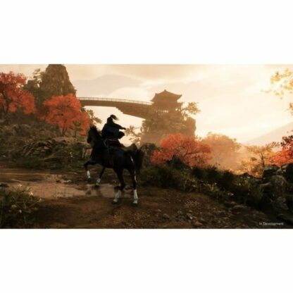 Βιντεοπαιχνίδι PlayStation 5 Sony Rise of the Ronin (FR)