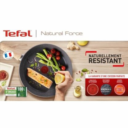 Κατσαρόλα Tefal G2669002 Γκρι Ø 24 cm