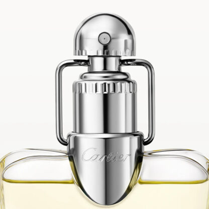 Γυναικείο Άρωμα Cartier Déclaration EDT 100 ml