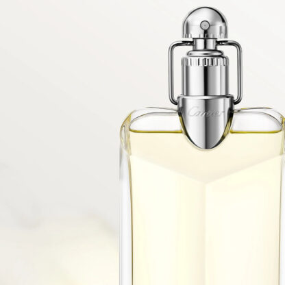 Γυναικείο Άρωμα Cartier Déclaration EDT 100 ml