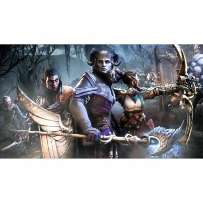 Βιντεοπαιχνίδι PlayStation 5 Electronic Arts Dragon Age: The Veilguard (FR)