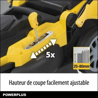 Ηλεκτρικό Χλοοκοπτικό Powerplus Powxg6281 2000 W 230-240 V Ø 42 cm 25-80 mm