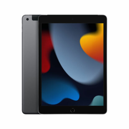 Tablet Apple iPad 3 GB RAM 10,2" Γκρι 256 GB