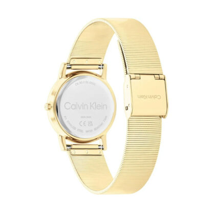 Ανδρικά Ρολόγια Calvin Klein 25100035