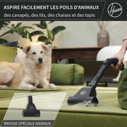 Ηλεκτρική σκούπα Hoover HE120PET 011 Μαύρο Γκρι 700 W