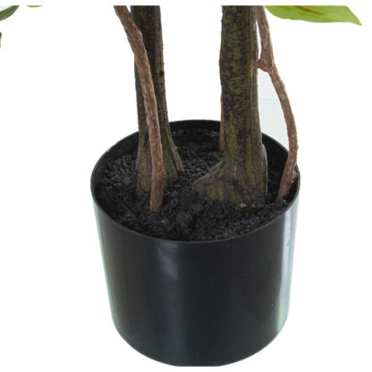 Διακοσμητικό Φυτό Alexandra House Living Πλαστική ύλη Ficus 18 x 22 x 162 cm