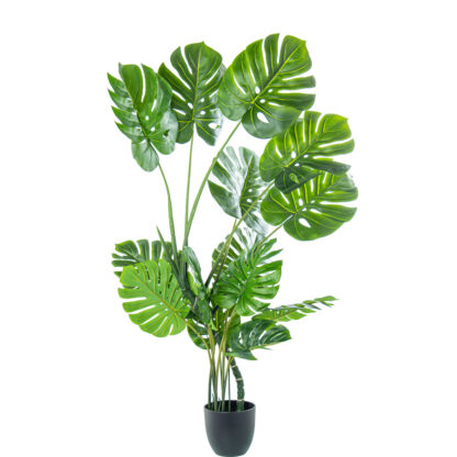 Διακοσμητικό Φυτό Alexandra House Living Πλαστική ύλη Monstera 150 cm