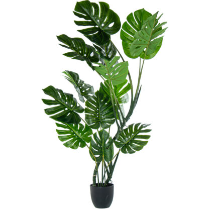 Διακοσμητικό Φυτό Alexandra House Living Πλαστική ύλη Monstera 170 cm