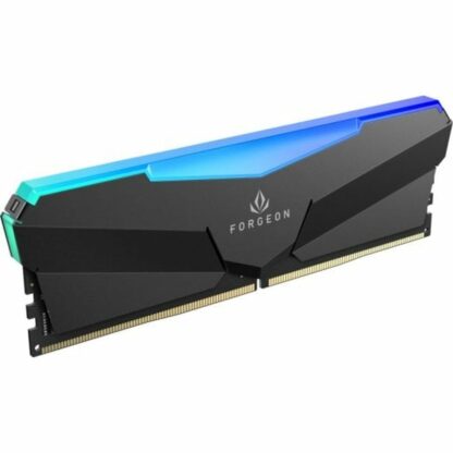 Μνήμη RAM Forgeon 32 GB 6400 MHz