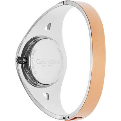 Γυναικεία Ρολόγια Calvin Klein K8E2S1Z6 (Ø 24,5 mm)