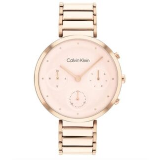 Γυναικεία Ρολόγια Calvin Klein 25200297 (Ø 44 mm)