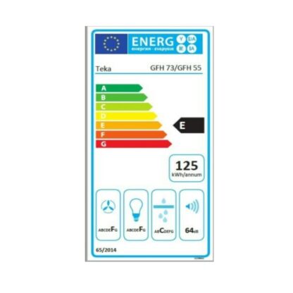 Συμβατικός Απορροφητήρας Teka GFH 55 55 cm 329 m3/h 69 dB 215W Ασημί Χάλυβας