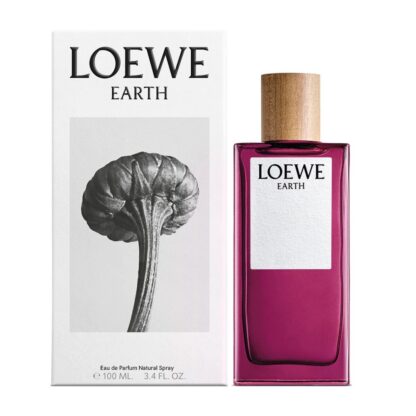 Ανδρικό Άρωμα Loewe EDP 100 ml