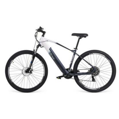 Ηλεκτρικό Ποδήλατο Youin YOURIDE EVEREST2 250 W