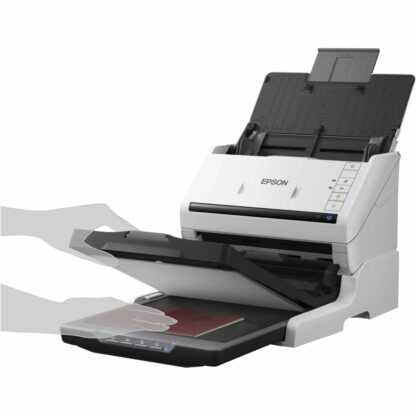 Σκάνερ Epson B11B261401 35-70 ppm