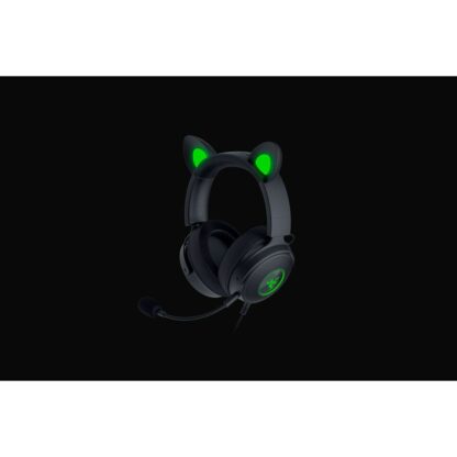 Ακουστικά με Μικρόφωνο Razer RZ04-04510100-R3M1