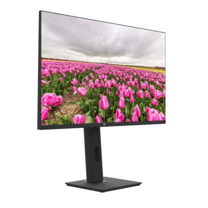 Οθόνη V7 L238V0-HAS-E Full HD 23,8"