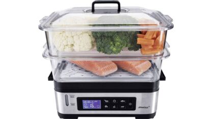 Steba DG 2 steamer