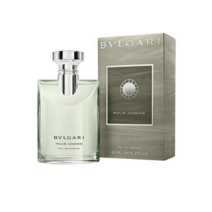 Ανδρικό Άρωμα Bvlgari Bvlgari  EDP 100 ml