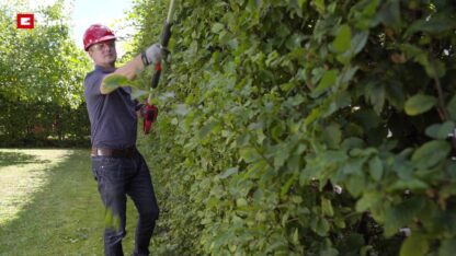 Einhell GC-HH 18/45 Li T solo Battery Telescopic Hedge Trimmer