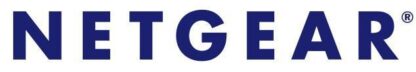 GSM7252PL LICENZA DI UPGRADE X GSM7252PS PER L ABILITAZIONE DELLE FEATURE FULL  LAYER3  IPV6 E ROU