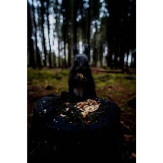 Samyang AF 2,8/18 FE      Sony E