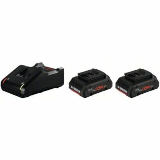 Charger and rechargeable battery set Kärcher Litio Ion 5 Ah 18 V