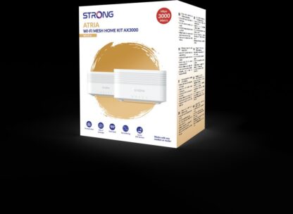Strong pack of 2 Mesh AX3000