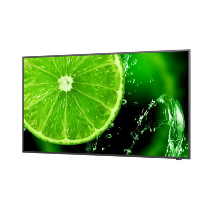 Nec E498 Public Display IPS 4K UHD 49" με USB Media Player