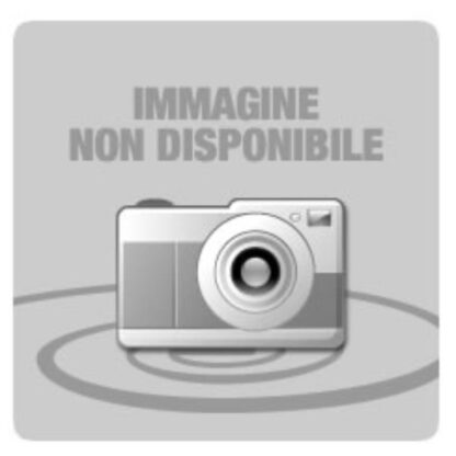 408187 TONER GIALLO SPC360DNW/SNW/SFNW/SPC361SFNW                            DURATA 3.000 PAGIN