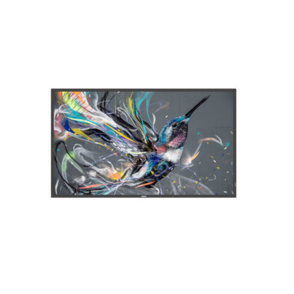Οθόνη Videowall Philips 50BDL3511Q/00 4K 4K Ultra HD 50" 50"