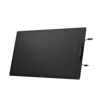 EcoFlow Delta Pro Remote Control