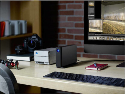 Lacie d2 Professional USB-C Εξωτερικός HDD 10TB 3.5" Μαύρο