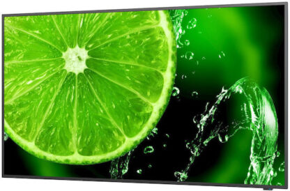 Οθόνη Videowall NEC 60006113 Full HD 32"