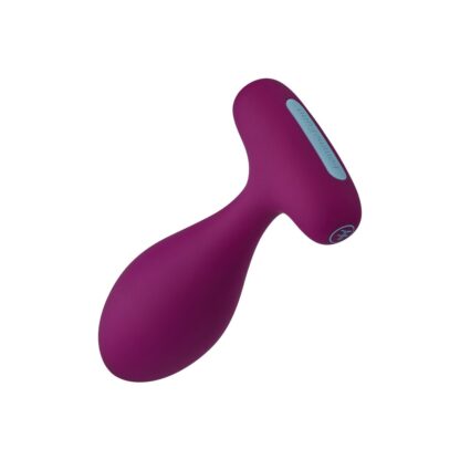 Πρωκτικό Plug FemmeFunn Plua Ροζ