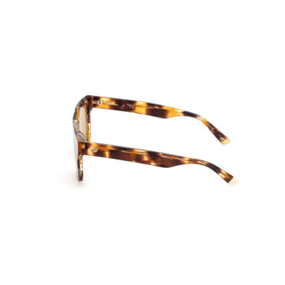 Ανδρικά Γυαλιά Ηλίου Web Eyewear WE0315-0041F