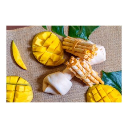 Σνακ για τον Σκυλο Gloria Snackys Rawhide 20-23 cm
