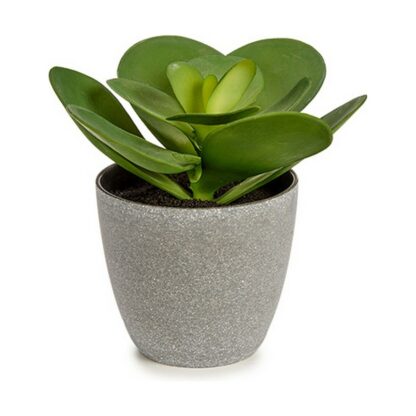 Διακοσμητικό Φυτό Ibergarden YC184572 Πλαστική ύλη 18 x 18,5 x 18 cm (x6)