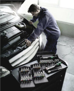 Wera 8006 SC 1 Καστάνια με Καρυδάκια 12" 13τμχ