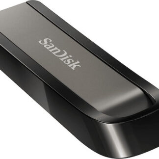 SanDisk Extreme Go USB flash drive 256 GB USB Type-A 3.2 Gen 1 (3.1 Gen 1) Stainless steel