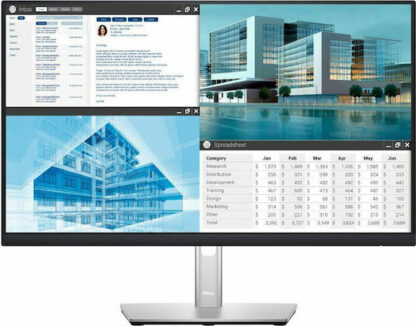 Dell P2422H IPS Monitor 23.8" FHD 1920x1080 με Χρόνο Απόκρισης 8ms GTG