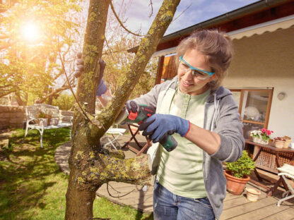 Bosch EasyCut 12 Αλυσοπρίονο Μπαταρίας Solo 12V 0.9kg με Λάμα 6.5cm Κωδικός: 06033C9001