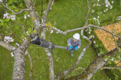 Gardena HighCut 360/18V P4A Τηλεσκοπικό Κονταροψάλιδο 5m με Άνοιγμα Ψαλιδιού 28mm