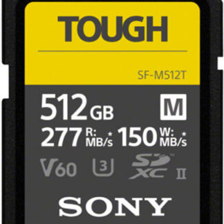 SanDisk CF Express Type 2  256GB Extreme Pro     SDCFE-256G-GN4NN