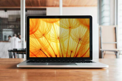 3M Φίλτρο Οθόνης για Dell Multi-Line 34 cm (13.4")