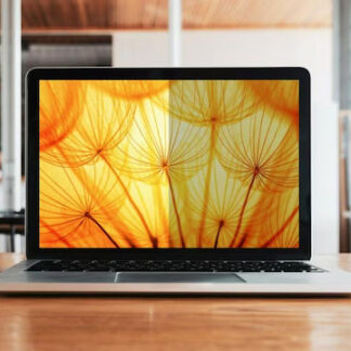 Dell Κλειδαριά N62CK
