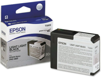 Epson T5809 Light Light Black Γνήσιο Μελάνι Εκτυπωτή InkJet Μαύρο (C13T580900)